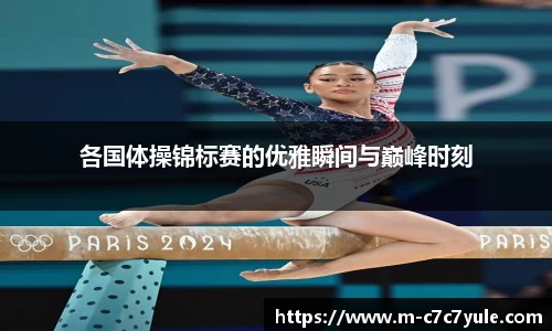 各国体操锦标赛的优雅瞬间与巅峰时刻